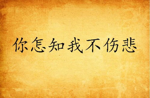 你怎知我不伤悲