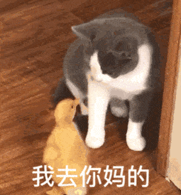当代大保健实录