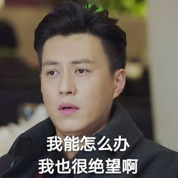 采访了前半生各主角,他们用表情包作答很劲爆
