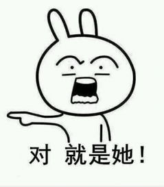 是他是他就是他表情包