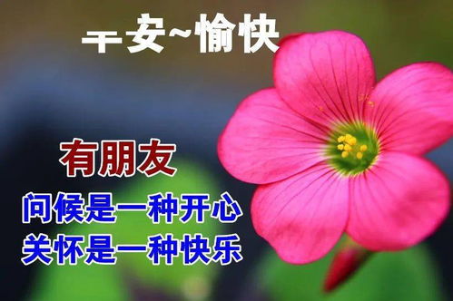早上好最新表情图片祝福语