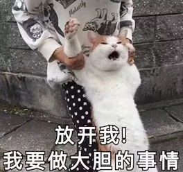 一定要让你对象知道,男人喜欢钓鱼是好事