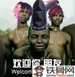 阴阳师抽卡模拟器地址查询