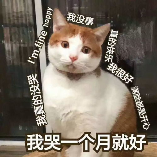 关晓彤缝纫机发型辣眼睛然后同学们po出了tony老师给自己剪的造型...