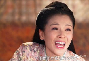 宋丹丹儿子演芈月传太子818巴图坎坷身世