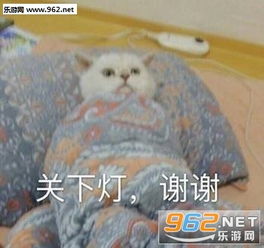 我给你修好了表情包我懂我懂表情包图片下载乐游网游戏下载