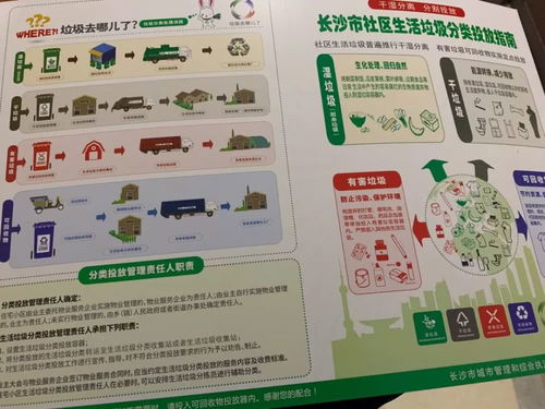表情来了长沙也要罚款最严垃圾分类覆盖633个社区表情