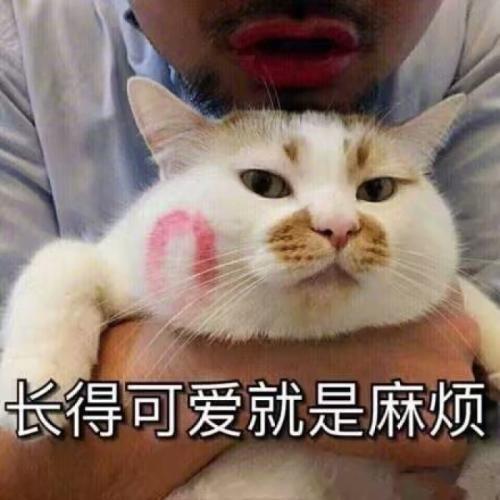 开心笑话小外甥女扔给俺一包中华,说你打的过你姐吗