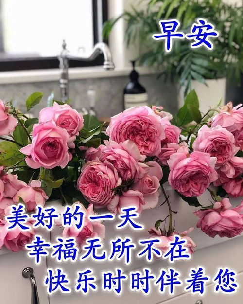 八月周日早上好表情祝福语最新版让你悟透人生精辟早安句子