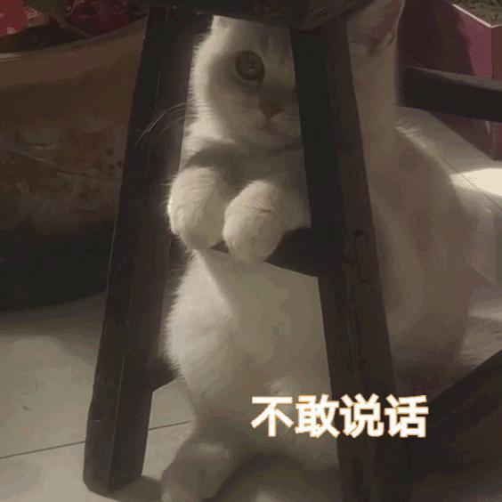 让所有人都有房住呵呵