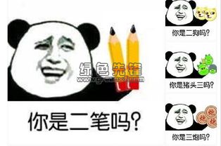 你是二笔吗表情包你是二笔吗qq表情大全绿色免费版软件下载