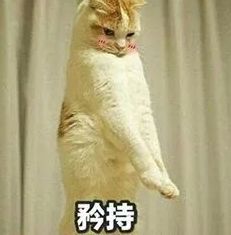 hello这一届品牌跨界有事吗