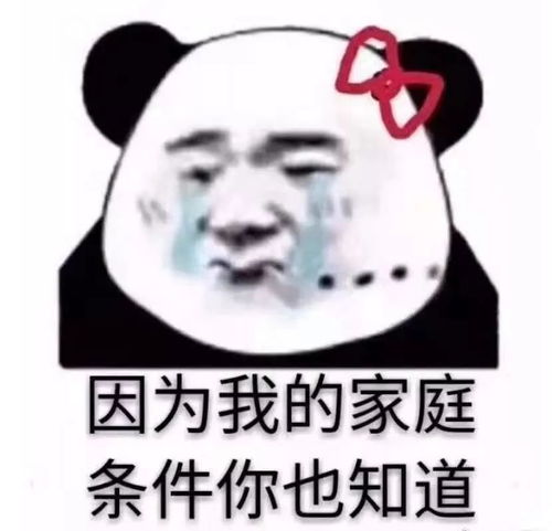 timi一响网课白讲表情包没有你