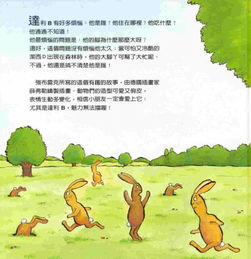 我不知道我是谁呆萌小山兔