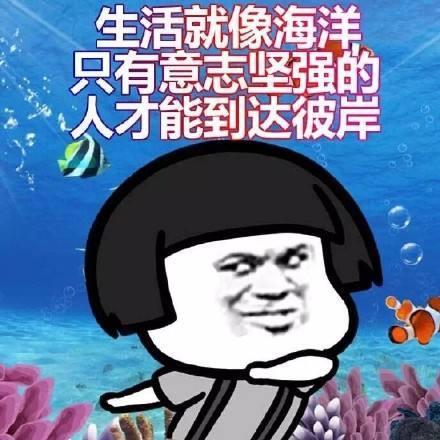 youareanoodle可不是说你是面条,别被骂了都不知道