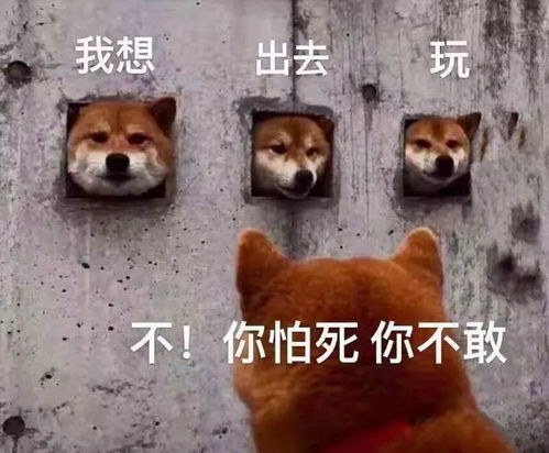 2020最新沙雕表情包口罩