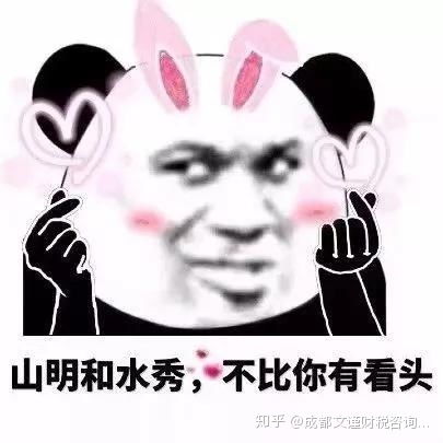 成都青羊区有没有口碑比较好的记账公司呢