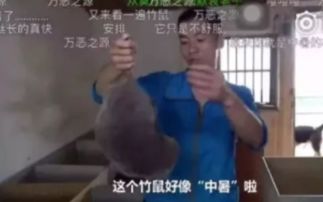 欢迎走进土味的世界