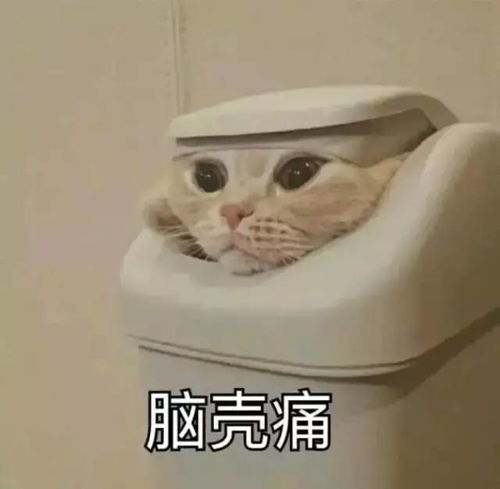 我们爆肝投出的中国第一女团,怎么沦落成这样了