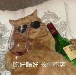 潮汕人民为什么那么爱喝茶