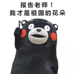 老师,这里有个自称儿童的阿姨要过节...