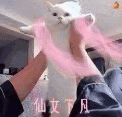 仙女下凡啦表情包沙雕