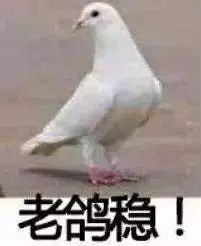看到腾讯新出的企鹅形象后,我们决定宣布两件大事