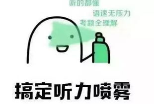 叮咚您的cet应急加油包请查收