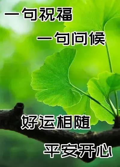 8张最美风景早上好表情图片带祝福语好看的秋日风景朋友圈早安问候祝福语图片