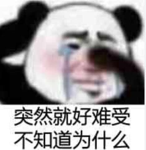 南宁金9月第一周战报