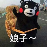 黑色小熊表情包微信头像图片大全