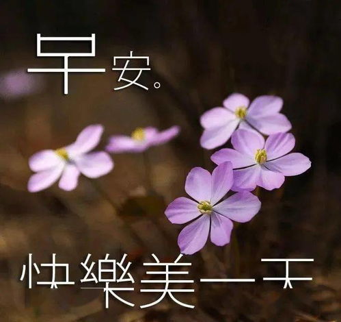 6月4日最漂亮早上好动态表情图片大全,早上好动图美图大全