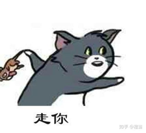 逻辑学不关心内容么