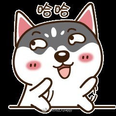 二选一表情包微信