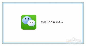微信公众平台如何发起投票