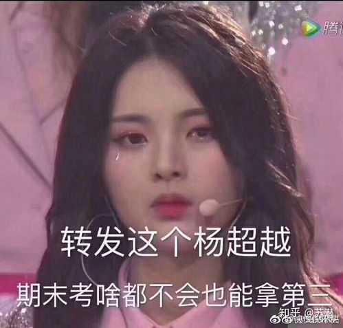 考试转发杨超越是什么梗