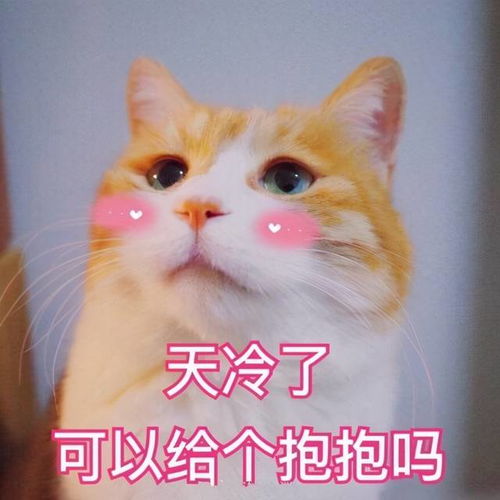 送你个抱抱表情包图片