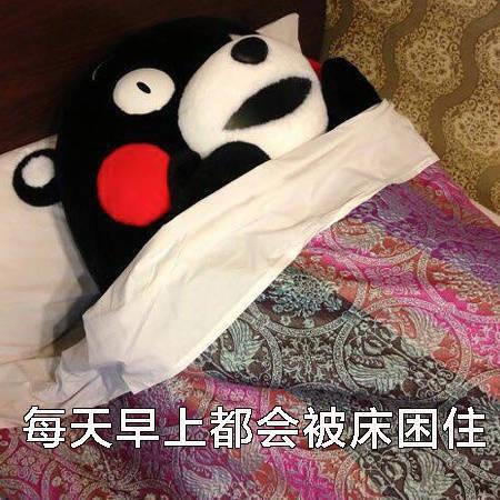 熊本熊表情包只想在床上躺到地老天荒