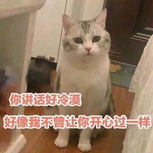 100张热门表情包