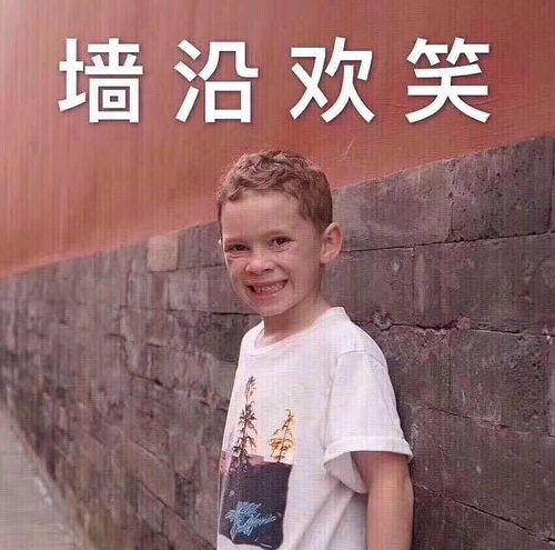 拔头发表情包我是骗子