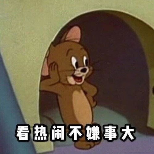 快来看这档良心发现的节目不再催婚高级翻倍