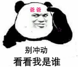 2017斗图表情包新图