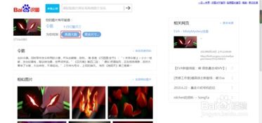 如何通过百度识图谷歌图片等找原图或大图