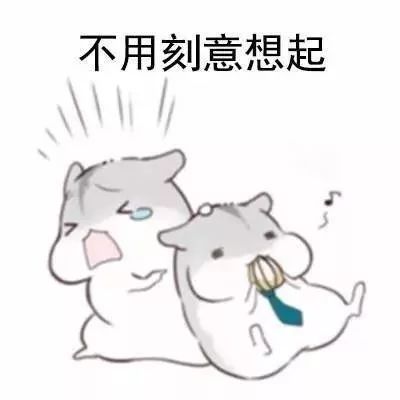早上好表情包 小仓鼠表情包