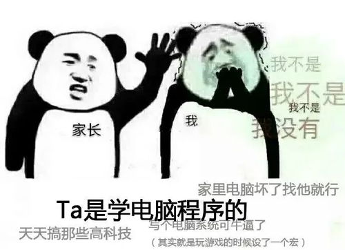 原来你找我聊天,只是盯上了我的表情包