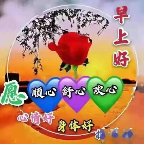 早安心语下雨了,才知道谁会给你送伞遇事了,才知道谁对你真心经历