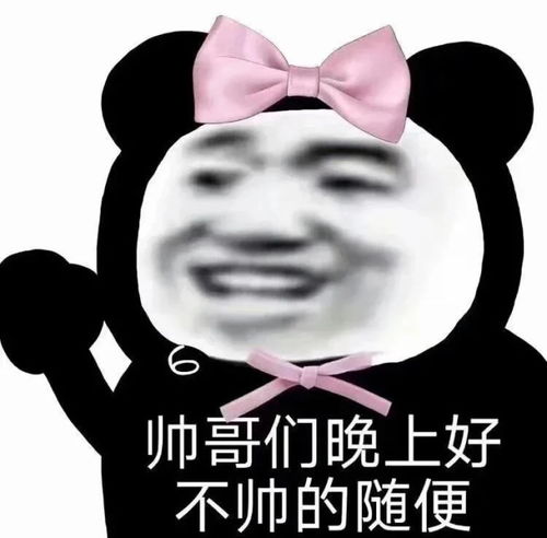 不要不要的表情包搞笑下课