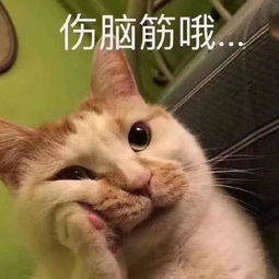 网友讲述亲身经历的魔幻场面,叹为观止