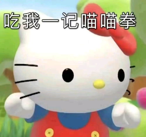 哈喽表情包图片kitty