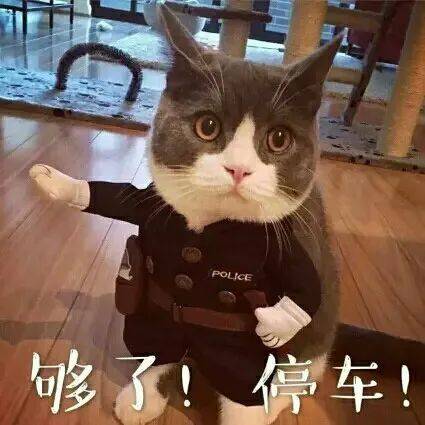 其实,我是个实际的人